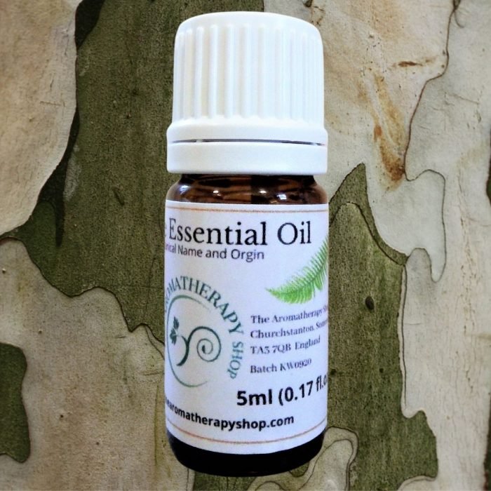 White Oud Pure Essential Oil (Origin: Indonesia)