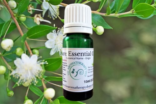 Myrtle Pure Essential Oil