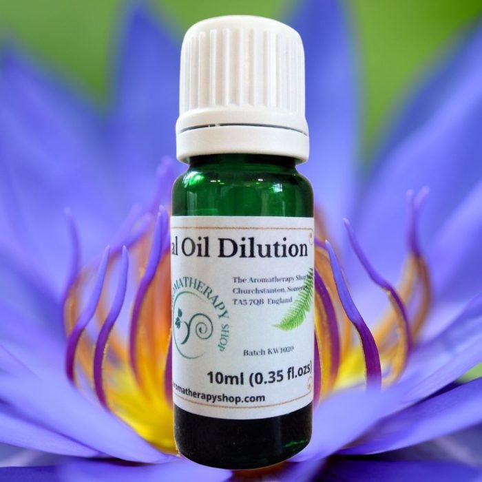 Blue Lotus Essential Oil Dilution