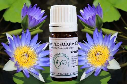 Perfumers Blue Lotus Absolute Oil (Origin: Northern India)