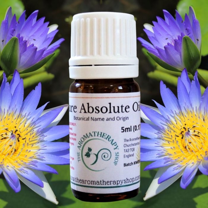 Perfumers Blue Lotus Absolute Oil (Origin: Northern India)