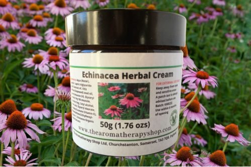 Echinacea Root Herbal Cream / Can help protect the skin from ageing