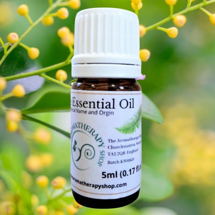 Aglaia Essential Oil (Origin: Thailand)