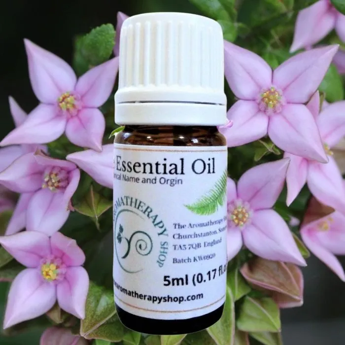Boronia Essential Oil (Origin: Australia)