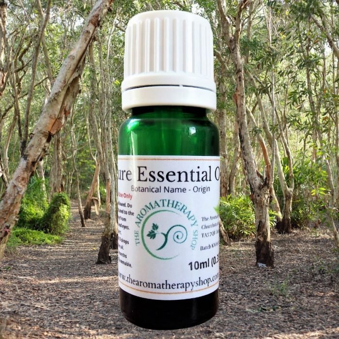 Cajeput Pure Essential Oil
