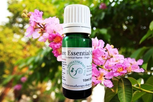 Cananga Pure Essential Oil