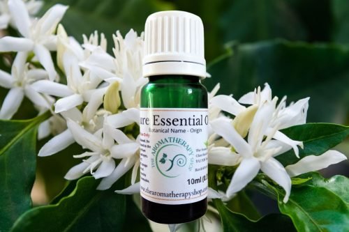 Coffee Blossom Essential Oil (Origin: Madagascar)