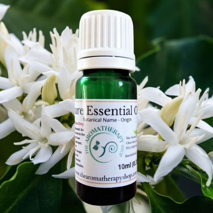 Coffee Blossom Essential Oil (Origin: Madagascar)