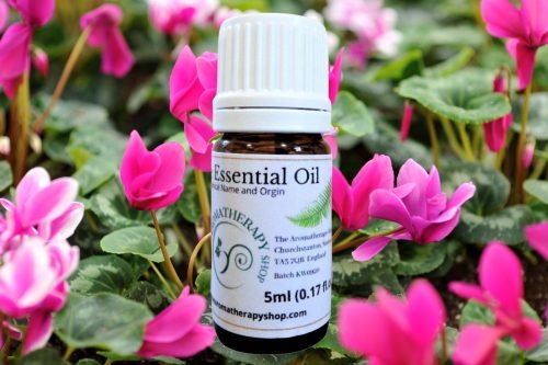 Cyclamen Essential Oil (Origin: Turkey)