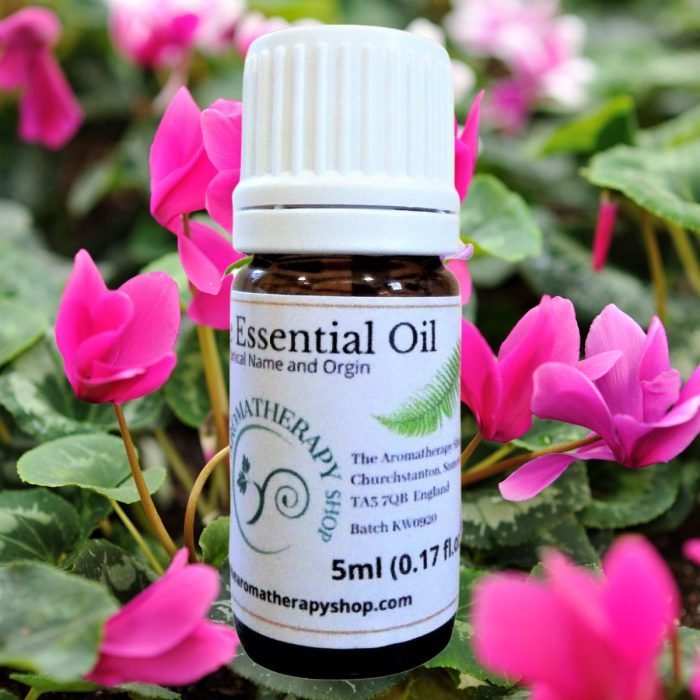 Cyclamen Essential Oil (Origin: Turkey)