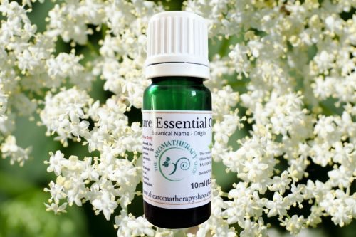 Elderflower Pure Essential Oil (Origin: USA)