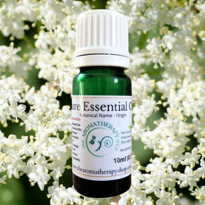 Elderflower Pure Essential Oil (Origin: USA)