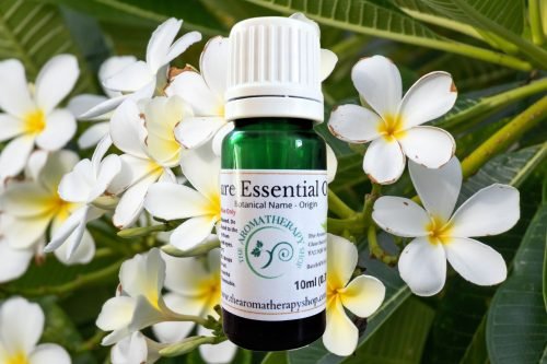 Frangipani Essential Oil (Origin: India)