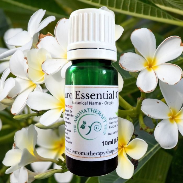 Frangipani Essential Oil (Origin: India)