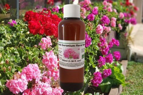 Geranium Floral Water / Organic