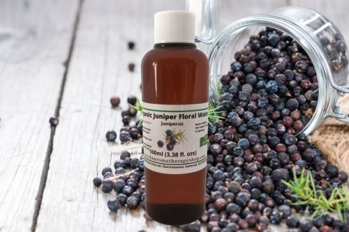 Juniper Floral Water / Organic