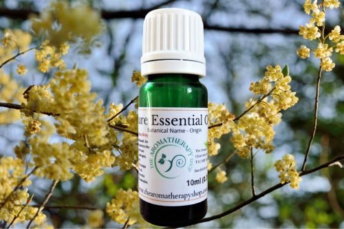 Litsea Cubeba Pure Essential Oil
