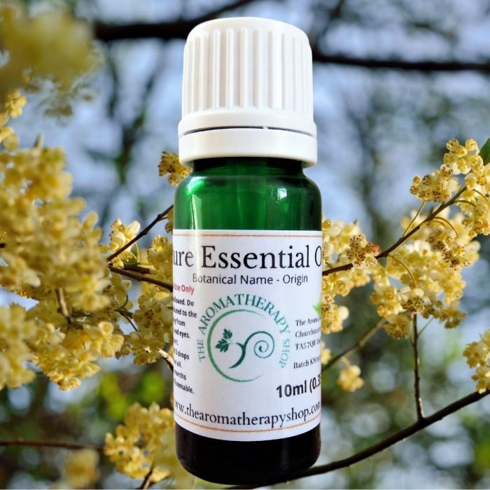 Litsea Cubeba Pure Essential Oil