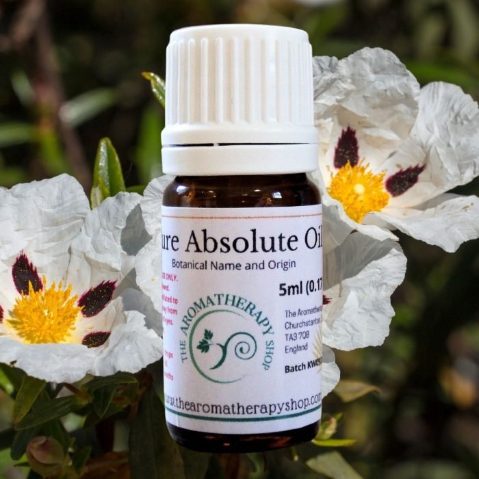 Labdanum Absolute Oil (Origin: Spain)