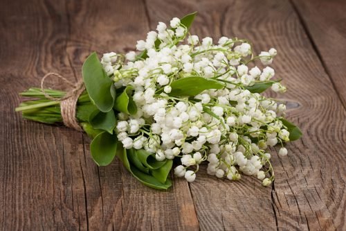 Lily of the Valley Aroma / Fragrance Oil for Soaps, Candles, Lotions, Shampoos and Perfumery (Nature Identical)