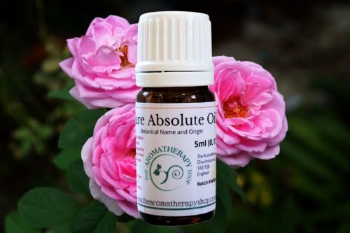 Rose Bulgarian Absolute Oil / Sweet and Musky