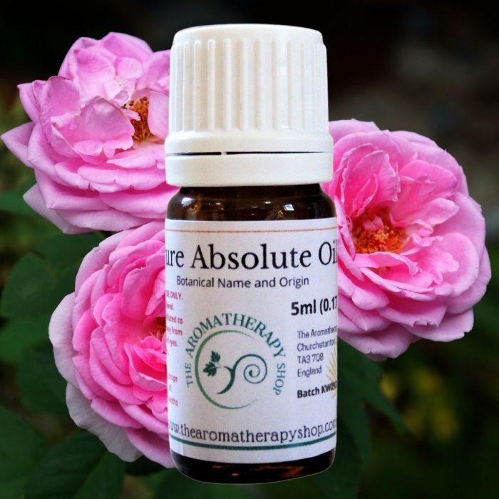 Rose Bulgarian Absolute Oil / Sweet and Musky
