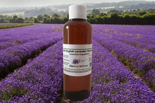 Lavender (English) Floral Water