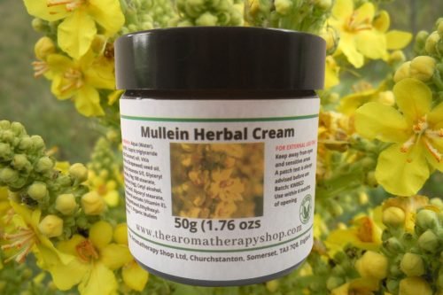 Mullein Cream