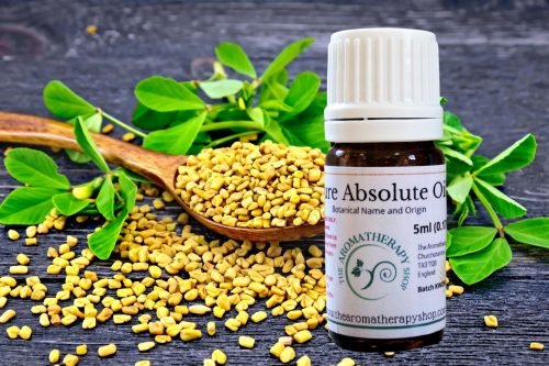 Fenugreek Absolute Oil - Gourmand Base Notes (Origin: France)