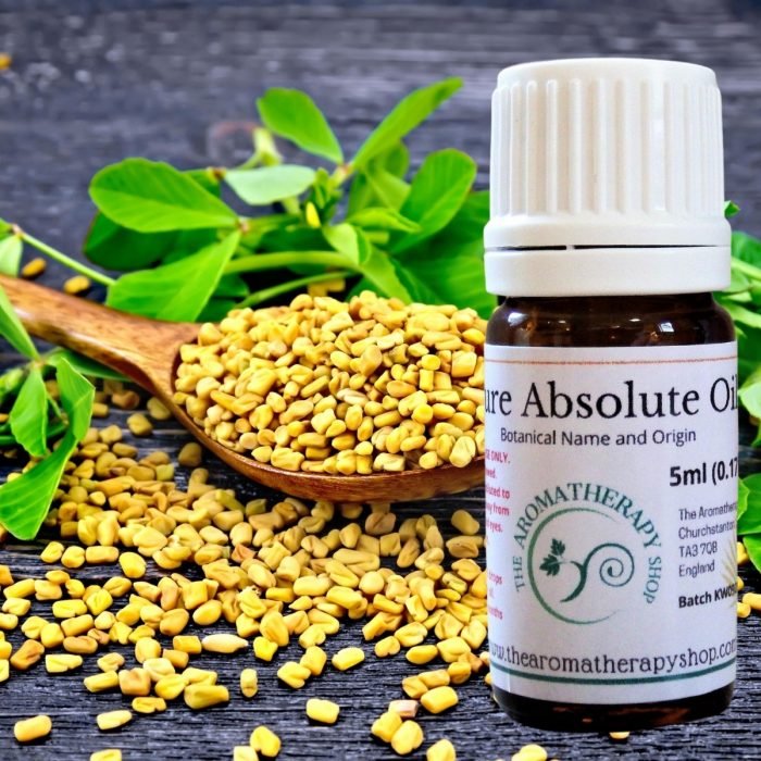 Fenugreek Absolute Oil - Gourmand Base Notes (Origin: France)