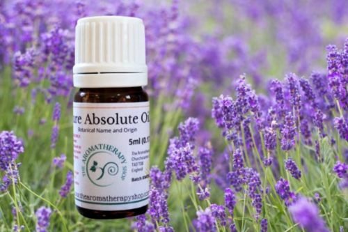 Lavender Absolute Oil (Origin: France)