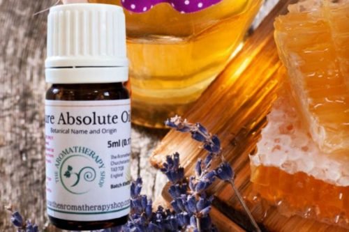Honey Lavender Absolute Oil (Origin: France)