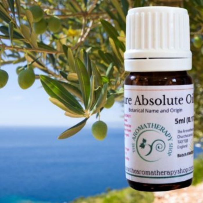 Olive Leaf Absolute Oil (Origin: France)