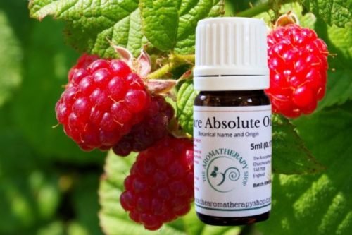 Raspberry Leaf Absolute Oil (Origin: France)