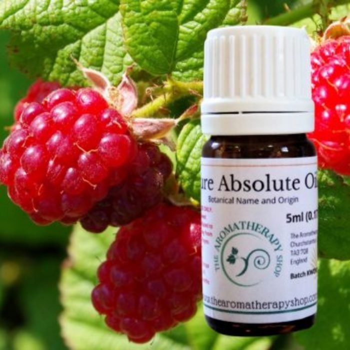 Raspberry Leaf Absolute Oil (Origin: France)