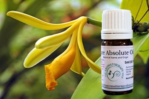 Vanilla Absolute Oil / USDA Certified Organic (Origin: Madagascar)