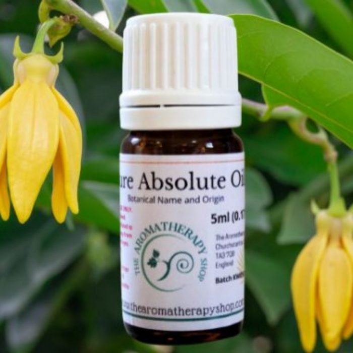 Ylang Ylang Absolute Oil (Origin: Comoros)