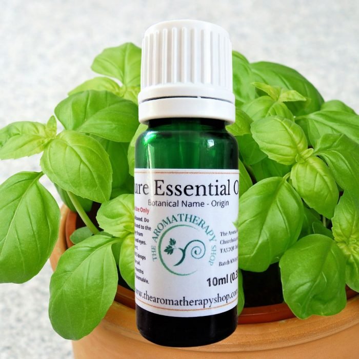 Basil Pure Essential Oil / Organic