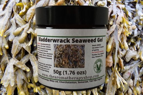 Bladderwrack Seaweed Gel