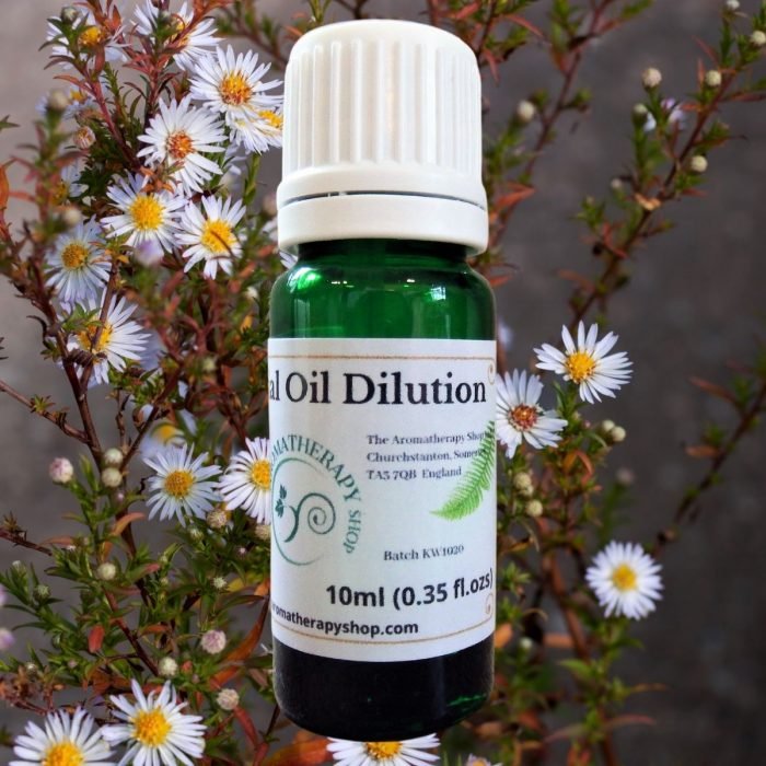 Chamomile (Wild Maroc) Essential Oil Dilution