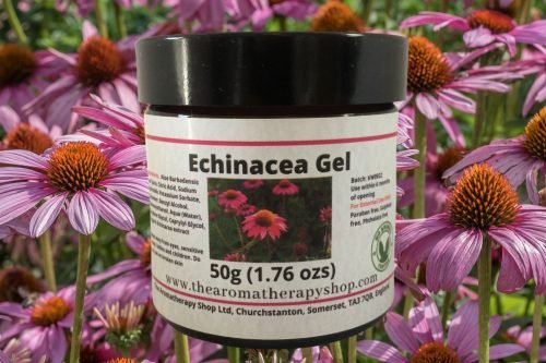 Echinacea Root Herbal Gel
