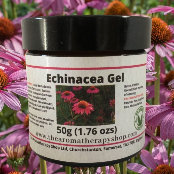 Echinacea Root Herbal Gel