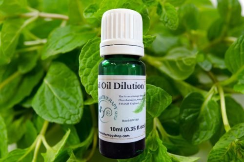 Spearmint (English) Essential Oil Dilution / Organic