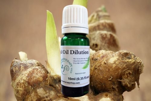 Galangal Essential Oil Dilution