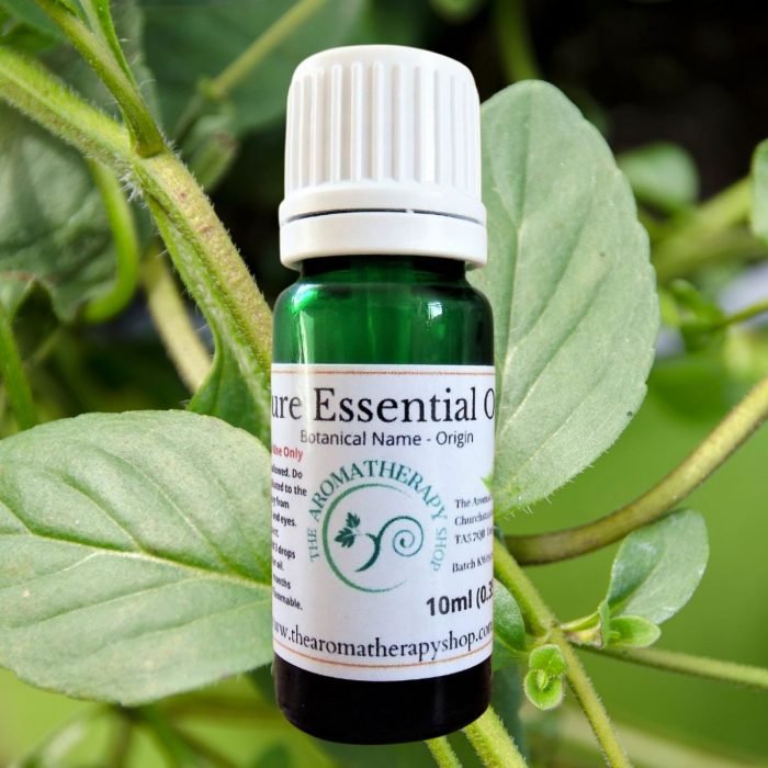 Peppermint Arvensis Pure Essential Oil