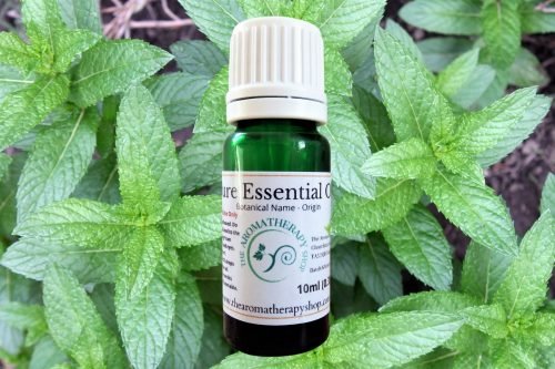 Peppermint Piperita Pure Essential Oil