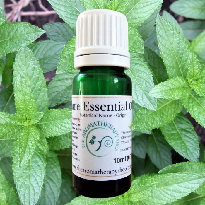 Peppermint Piperita Pure Essential Oil