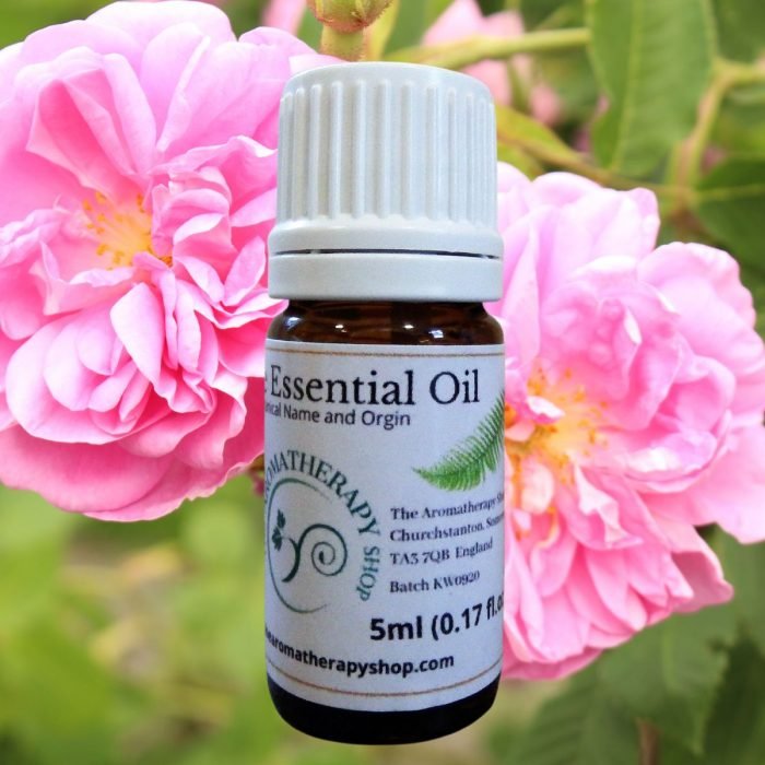 Rose Otto Essential Oil