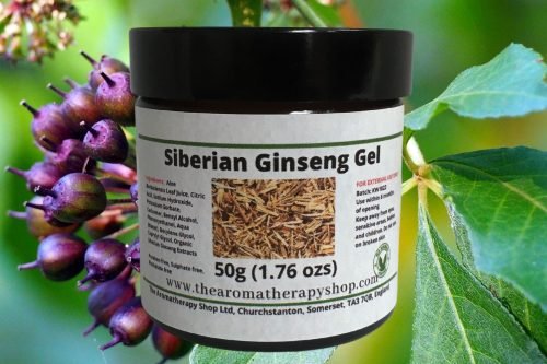 Siberian Ginseng Herbal Gel