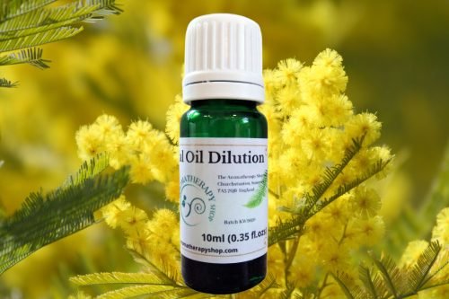 Mimosa Essential Oil Dilution